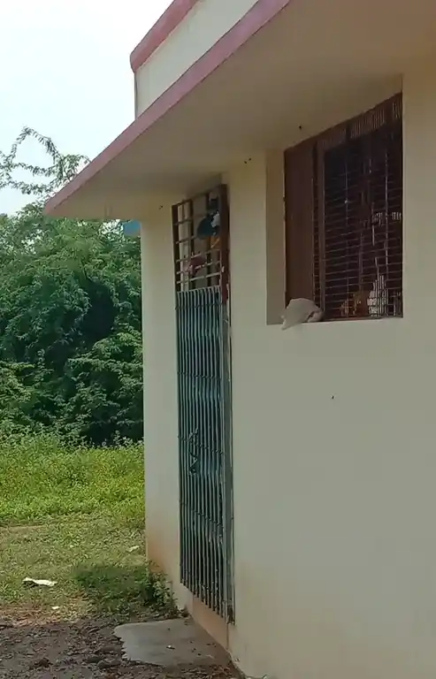 Arulmigu Pidariyamman Temple, Pudupatti - 624705 அருள்மிகு பிடாரியம்மன் திருக்கோயில், Pudupatti - 624705, Dindigul - Ancient Temple Architecture and History Image 4