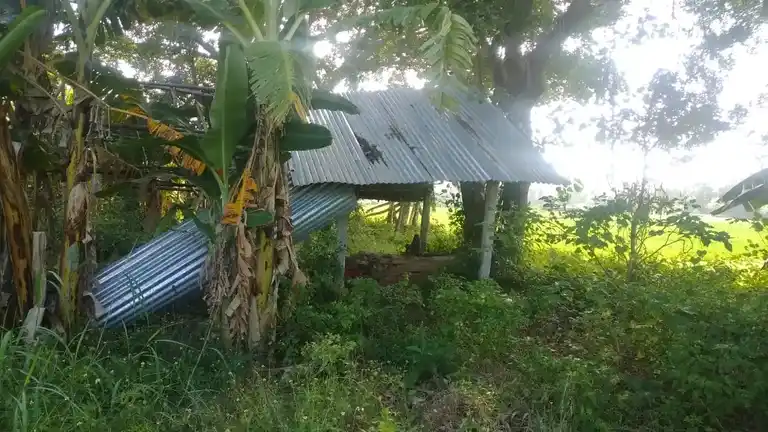 Arulmigu Pidariyamman Temple, Puthuppadaiyur - 614208