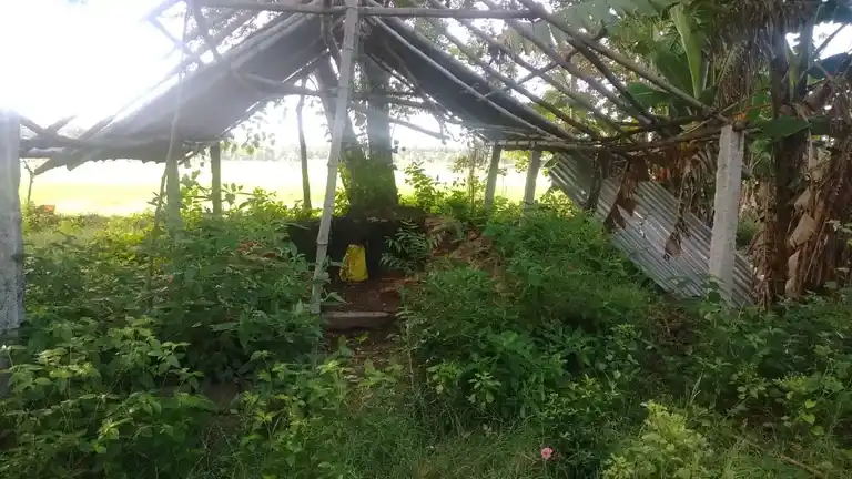 Arulmigu Pidariyamman Temple, Puthuppadaiyur - 614208 அருள்மிகு பிடாரியம்மன் திருக்கோயில், Puthuppadaiyur - 614208, Thanjavur - Ancient Temple Architecture and History Image 4