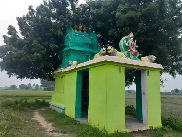 Arulmigu Pidariyamman Temple, Ramanujapuram - 600089 அருள்மிகு பிடாரி அம்மன் திருக்கோயில், Ramanujapuram - 600089, Kancheepuram - Ancient Temple Architecture and History Image 4