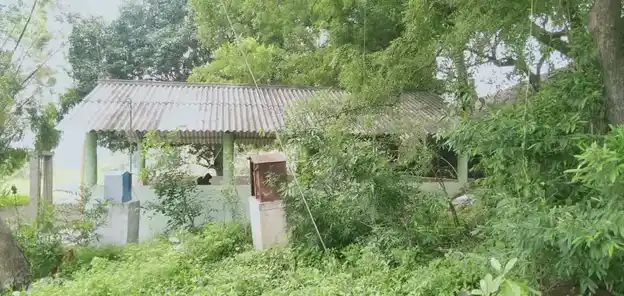 Arulmigu Pidariyamman Temple, Sarvaai - 636121 அருள்மிகு பிடாரி அம்மன் திருக்கோயில், Sarvaai - 636121, Salem - Ancient Temple Architecture and History Image 2