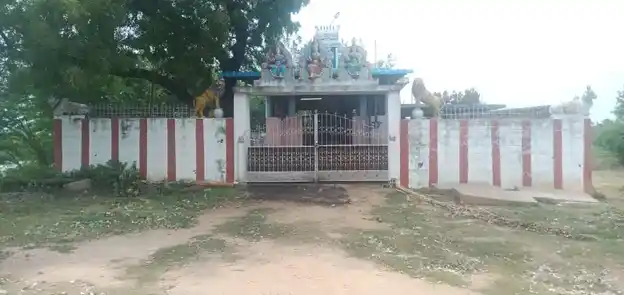 Arulmigu Pidariyamman Temple, Sengurichi - 620013 அருள்மிகு பிடாரியம்மன் திருக்கோயில், Sengurichi - 620013, Thiruchirappalli - Ancient Temple Architecture and History Image 3