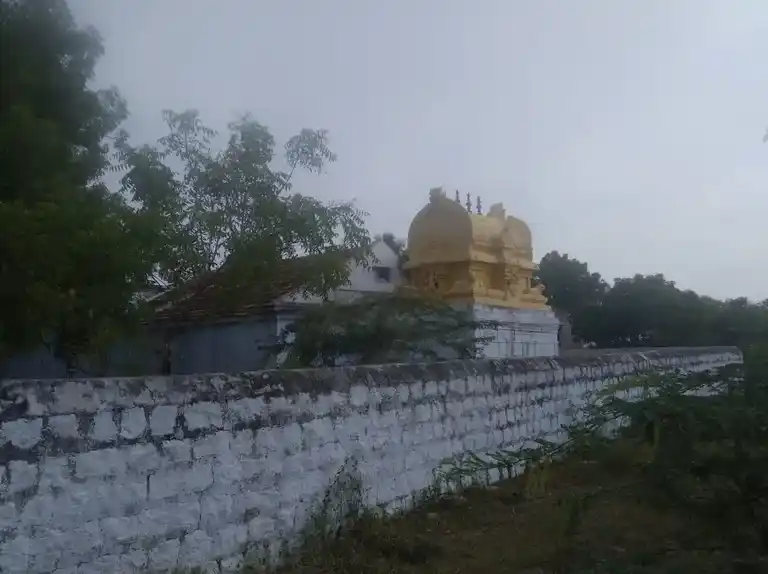 Arulmigu Pidariyamman Temple, Sinnasengal - 639102 அருள்மிகு பிடாரியம்மன் திருக்கோயில், Sinnasengal - 639102, Karur - Ancient Temple Architecture and History Image 5