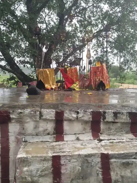 Arulmigu Pidariyamman Temple, Sinthalakundu - 624002 அருள்மிகு பிடாரியம்மன் திருக்கோயில், Sinthalakundu - 624002, Dindigul - Ancient Temple Architecture and History Image 2