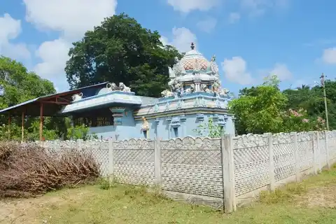 Arulmigu Pidariyamman Temple Sithankatherupu, Sithankatherupu - 609105 அருள்மிகு பிடாரியம்மன் திருக்கோயில், Sethankatherupu - 609105, Mayiladuthurai - Ancient Temple Architecture and History Image 4