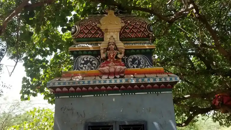 Arulmigu Pidariyamman Temple, Subburayapatti - 621305 அருள்மிகு பிடாரியம்மன் திருக்கோவில், கலிங்கப்பட்டி, சுப்புராயப்பட்டி - 621305, Thiruchirappalli - Ancient Temple Architecture and History Image 8