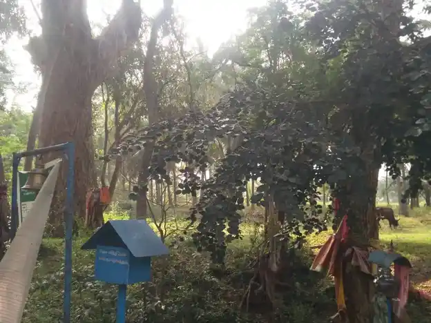 Arulmigu Pidariyamman Temple, T. Panjampatti - 624304 அருள்மிகு பிடாரியம்மன் திருக்கோயில், T. Panjampatti - 624304, Dindigul - Ancient Temple Architecture and History Image 6