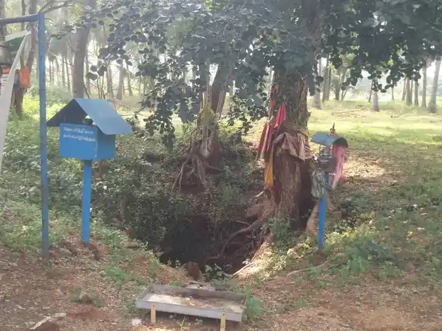 Arulmigu Pidariyamman Temple, T. Panjampatti - 624304 அருள்மிகு பிடாரியம்மன் திருக்கோயில், T. Panjampatti - 624304, Dindigul - Ancient Temple Architecture and History Image 10