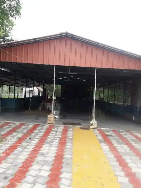 Arulmigu Pidariyamman Temple, Thambikkottai - 614601 அருள்மிகு பிடாரியம்மன் திருக்கோயில், Thambikkottai - 614601, Thanjavur - Ancient Temple Architecture and History Image 5