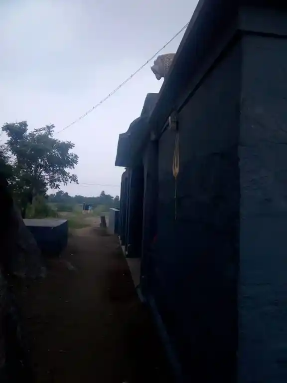 Arulmigu Pidariyamman Temple, Thenper - 605654 அருள்மிகு பிடாரியம்மன் திருக்கோயில், Thenper - 605654, Viluppuram - Ancient Temple Architecture and History Image 5