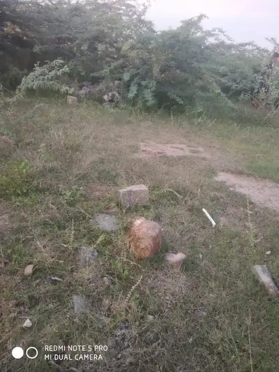 Arulmigu Pidariyamman Temple, Tholipatti - 624703