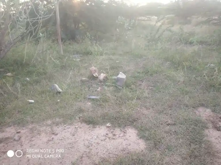 Arulmigu Pidariyamman Temple, Tholipatti - 624703 அருள்மிகு பிடாரியம்மன் திருக்கோயில், Tholipatti - 624703, Dindigul - Ancient Temple Architecture and History Image 2