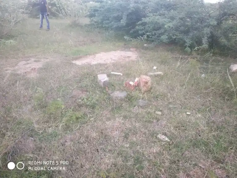 Arulmigu Pidariyamman Temple, Tholipatti - 624703 அருள்மிகு பிடாரியம்மன் திருக்கோயில், Tholipatti - 624703, Dindigul - Ancient Temple Architecture and History Image 3