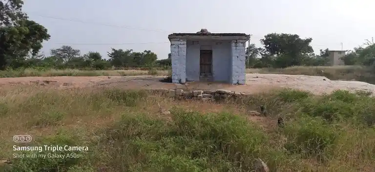 Arulmigu Pidariyamman Temple, Thuvarankulam - 625106 அருள்மிகு பிடாரியம்மன் கோயில், Thuvarankulam - 625106, Madurai - Ancient Temple Architecture and History Image 2