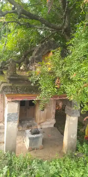 Arulmigu Pidariyamman Temple, Udhayamaampattu - 606206 Temple