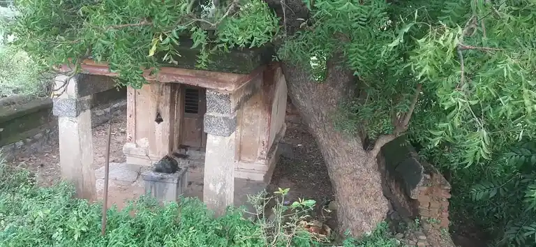 Arulmigu Pidariyamman Temple, Udhayamaampattu - 606206 அருள்மிகு பிடாரியம்மன் திருக்கோயில், Udhayamaampattu - 606206, Kallakurichi - Ancient Temple Architecture and History Image 5