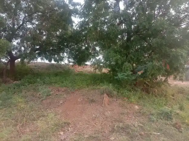 Arulmigu Pidariyamman Temple, Ulliakottai - 624703