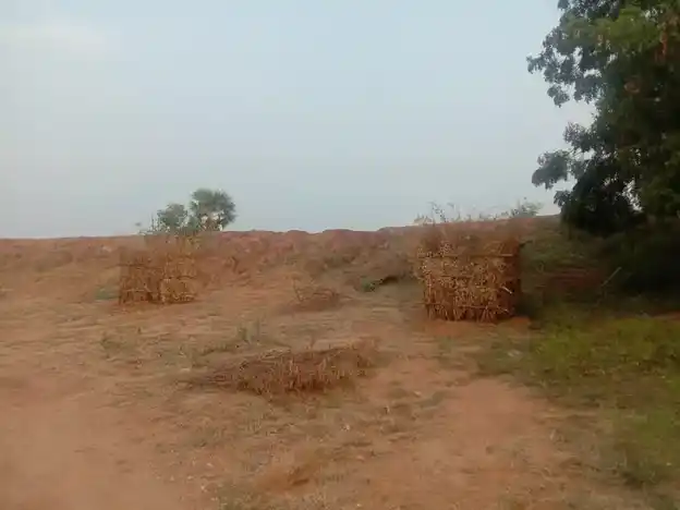 Arulmigu Pidariyamman Temple, Ulliakottai - 624703 அருள்மிகு பிடாரியம்மன் திருக்கோயில், Ulliakottai - 624703, Dindigul - Ancient Temple Architecture and History Image 2