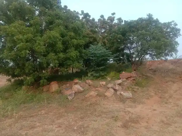 Arulmigu Pidariyamman Temple, Ulliakottai - 624703 அருள்மிகு பிடாரியம்மன் திருக்கோயில், Ulliakottai - 624703, Dindigul - Ancient Temple Architecture and History Image 3