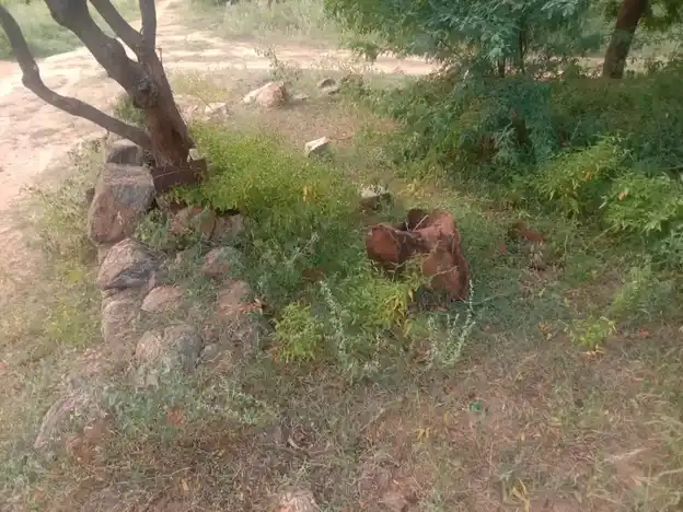 Arulmigu Pidariyamman Temple, Ulliakottai - 624703 அருள்மிகு பிடாரியம்மன் திருக்கோயில், Ulliakottai - 624703, Dindigul - Ancient Temple Architecture and History Image 4