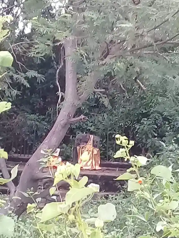 Arulmigu Pidariyamman Temple, Vaanaapuram - 606402