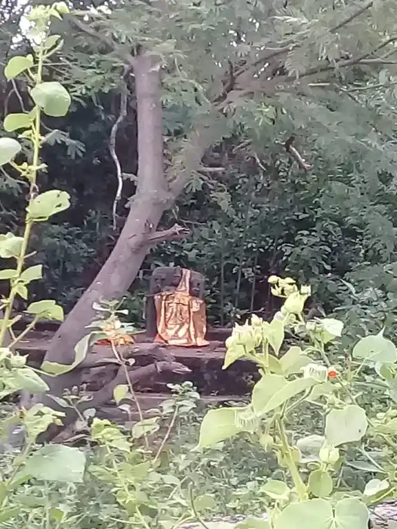 Arulmigu Pidariyamman Temple, Vaanaapuram - 606402 அருள்மிகு பிடாரியம்மன் திருக்கோயில், Vaanaapuram - 606402, Kallakurichi - Ancient Temple Architecture and History Image 4