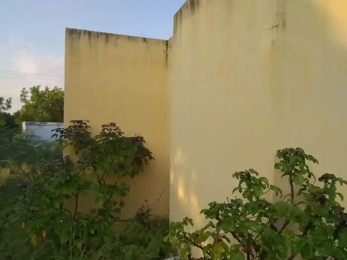 Arulmigu Pidariyamman Temple, Varavanai - 621301 அருள்மிகு பிடாரியம்மன் திருக்கோயில், Varavanai - 621301, Karur - Ancient Temple Architecture and History Image 3