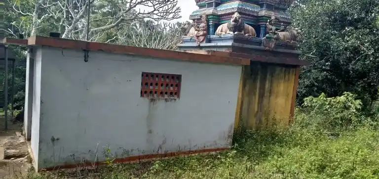 Arulmigu Pidariyamman Temple, Vasallurpatti, Thinnanur Nadu - 637411 அருள்மிகு பிடாரியம்மன் திருக்கோயில், வாசலூர்பட்டி, Thinnanur Nadu - 637411, Namakkal - Ancient Temple Architecture and History Image 2