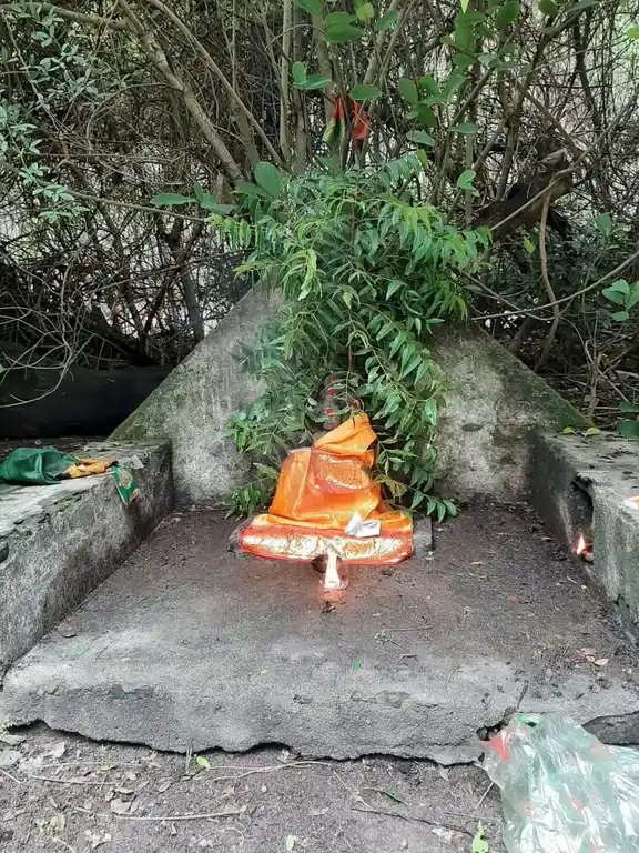 Arulmigu Pidariyamman Temple, Vengai - 604102 அருள்மிகு பிடாரியம்மன் திருக்கோயில், Vengai - 604102, Viluppuram - Ancient Temple Architecture and History Image 2