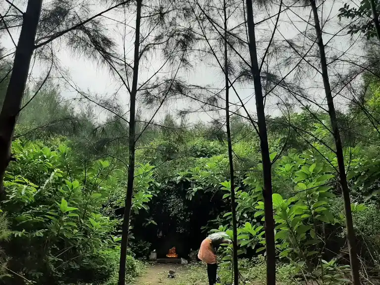 Arulmigu Pidariyamman Temple, Vengai - 604102 அருள்மிகு பிடாரியம்மன் திருக்கோயில், Vengai - 604102, Viluppuram - Ancient Temple Architecture and History Image 5