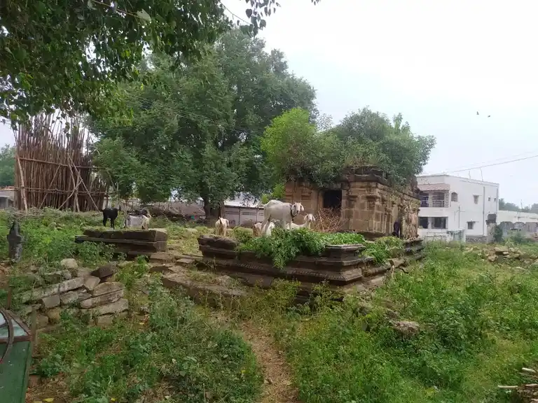 Arulmigu Pidariyammanswamy Temple, Chettikulam - 621104 அருள்மிகு பிடாரி, அய்யனார் சுவாமி திருக்கோயில், Chettikulam - 621104, Perambalur - Ancient Temple Architecture and History Image 4