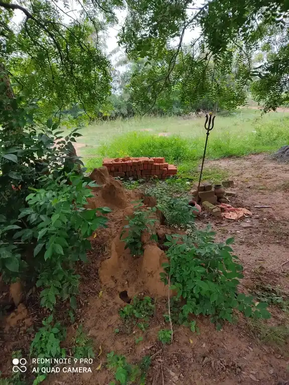 Arulmigu Pidariyar Manickanachiyar Temple, Periyakrishnapuram, Ariyalur - 621805 Temple