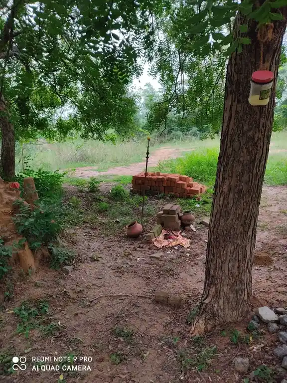 Arulmigu Pidariyar Manickanachiyar Temple, Periyakrishnapuram, Ariyalur - 621805 Arulmigu Pidariyar Manickanachiyar Temple, Periyakrishnapuram, Ariyalur - 621805, Ariyalur - Ancient Temple Architecture and History Image 2
