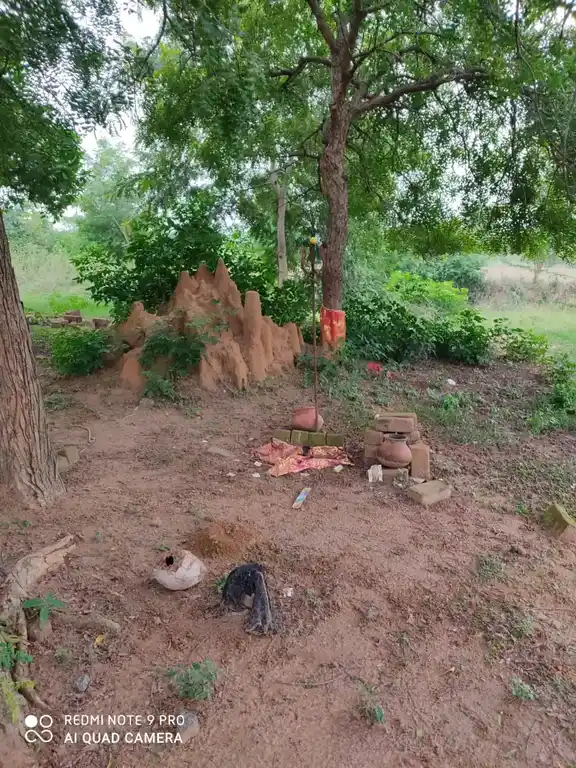 Arulmigu Pidariyar Manickanachiyar Temple, Periyakrishnapuram, Ariyalur - 621805 Arulmigu Pidariyar Manickanachiyar Temple, Periyakrishnapuram, Ariyalur - 621805, Ariyalur - Ancient Temple Architecture and History Image 3
