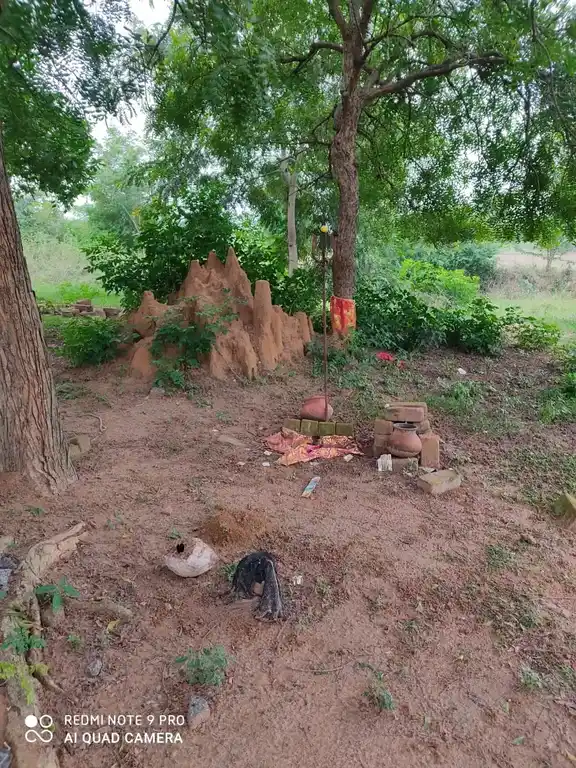 Arulmigu Pidariyar Manickanachiyar Temple, Periyakrishnapuram, Ariyalur - 621805 Arulmigu Pidariyar Manickanachiyar Temple, Periyakrishnapuram, Ariyalur - 621805, Ariyalur - Ancient Temple Architecture and History Image 5