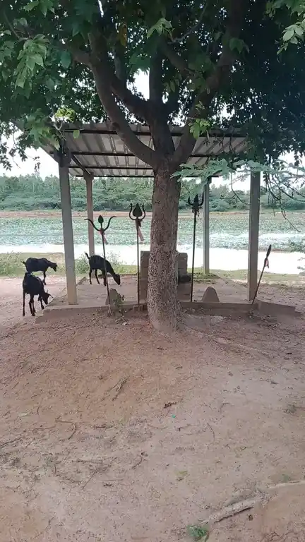 Arulmigu Pidariyar Temple, Ayirakalavan, Utkottai - 621901 Temple