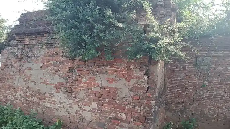 Arulmigu Pidariyar Temple, Gangaikondacholapuram, Ariyalur - 621901 Arulmigu Pidariyar Temple, Gangaikondacholapuram, Ariyalur - 621901, Ariyalur - Ancient Temple Architecture and History Image 3