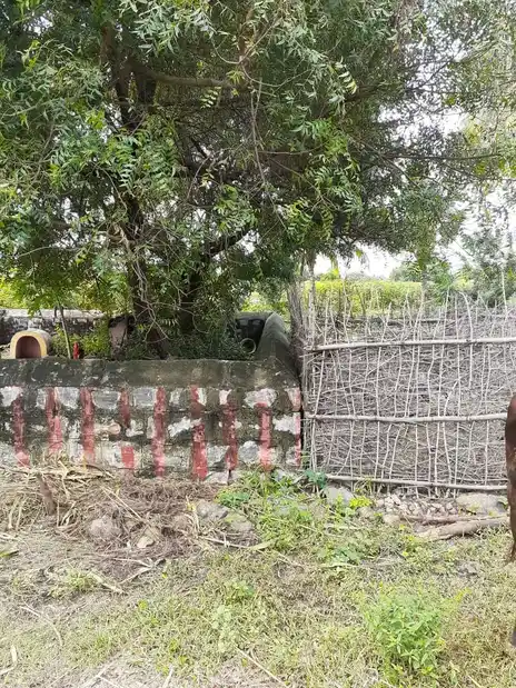 Arulmigu Pidariyar Temple, Karukudi - 621115 Arulmigu Pidariyar Temple, Karukudi - 621115, Perambalur - Ancient Temple Architecture and History Image 2