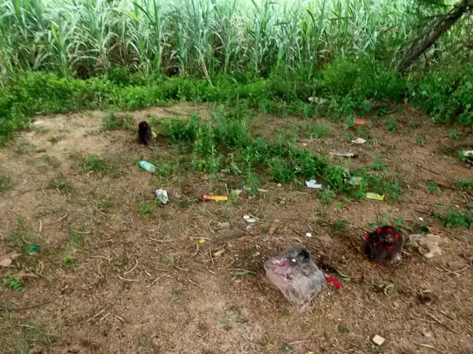 Arulmigu Pidariyar Temple, Kovilpalayam - 621716