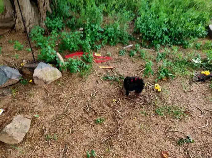 Arulmigu Pidariyar Temple, Kovilpalayam - 621716 அருள்மிகு பிடாரியார் திருக்கோயில், Kovilpalayam - 621716, Perambalur - Ancient Temple Architecture and History Image 2