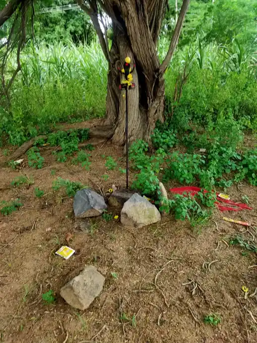 Arulmigu Pidariyar Temple, Kovilpalayam - 621716 அருள்மிகு பிடாரியார் திருக்கோயில், Kovilpalayam - 621716, Perambalur - Ancient Temple Architecture and History Image 3