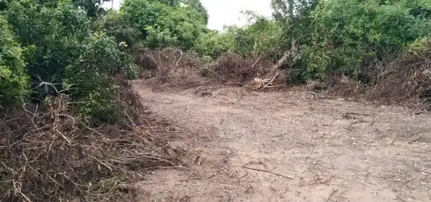 Arulmigu Pidariyar Temple, Kovilvalkai - 621806