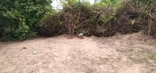 Arulmigu Pidariyar Temple, Kovilvalkai - 621806 அருள்மிகு பிடாரியார் திருக்கோயில், Kovilvalkai - 621806, Ariyalur - Ancient Temple Architecture and History Image 2