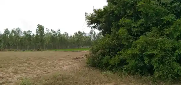 Arulmigu Pidariyar Temple, Kovilvalkai - 621806 அருள்மிகு பிடாரியார் திருக்கோயில், Kovilvalkai - 621806, Ariyalur - Ancient Temple Architecture and History Image 4