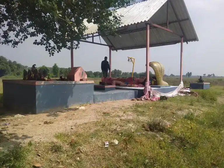 Arulmigu Pidariyar Temple, Kulumoor - 621714 Arulmigu Pidariyar Temple, Kulumoor - 621714, Ariyalur - Ancient Temple Architecture and History Image 2