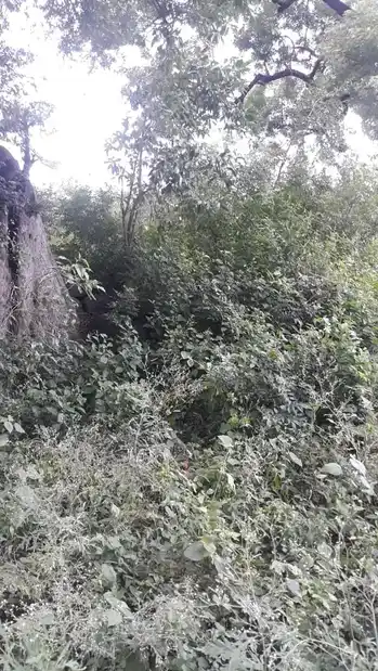Arulmigu Pidariyar Temple, Maravanatham - 621117