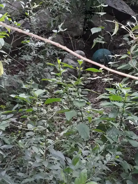 Arulmigu Pidariyar Temple, Maravanatham - 621117 அருள்மிகு பிடாரியார் திருக்கோயில், Maravanatham - 621117, Perambalur - Ancient Temple Architecture and History Image 2