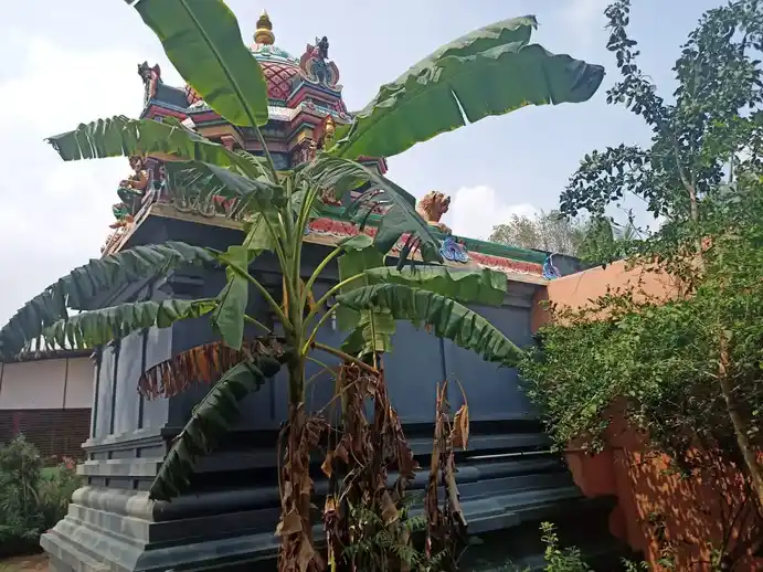 Arulmigu Pidariyar Temple, Melavanikuli - 612903 Arulmigu Pidariyar Temple, Melavanikuli - 612903, Ariyalur - Ancient Temple Architecture and History Image 4