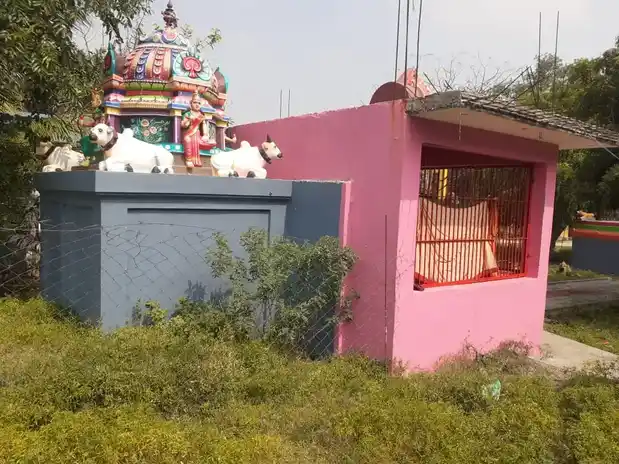 Arulmigu Pidariyar Temple, Nakkampadi - 621714 அருள்மிகு பிடாரியார் திருக்கோயில், Nakkampadi - 621714, Ariyalur - Ancient Temple Architecture and History Image 4