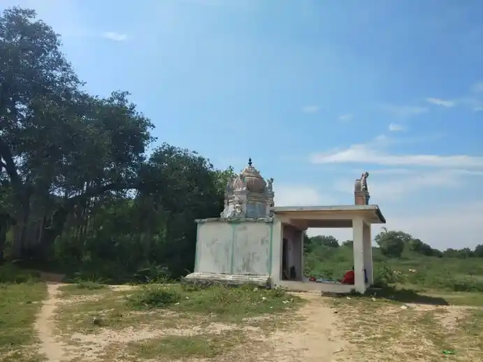 Arulmigu Pidariyar Temple, Namankunam - 621714 அருள்மிகு பிடாரியார் திருக்கோயில், Namankunam - 621714, Ariyalur - Ancient Temple Architecture and History Image 4